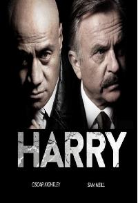 Harry (2013)